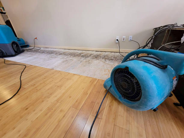 Professional Ceiling Water Damage Repair technician working in Beaver, WV